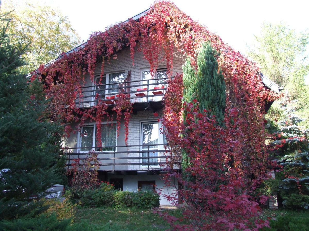 Pokoje I Apartamenty Przy Sosnowej Поддомбе Экстерьер фото